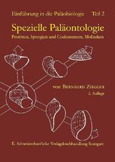 Spezielle Paläontologie, Protisten, Spongien und Coelenteraten, Mollusken