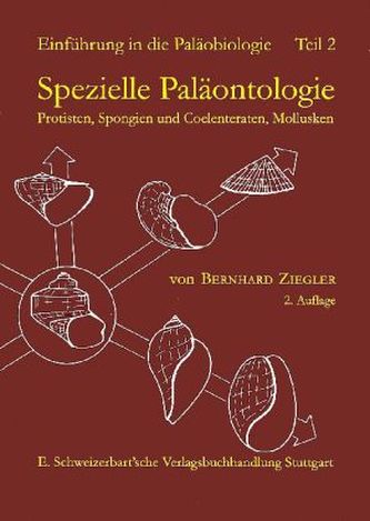 Spezielle Paläontologie, Protisten, Spongien und Coelenteraten, Mollusken