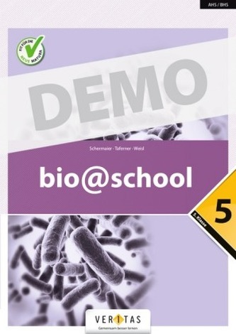 3. Klasse - Fit für die 4. Klasse