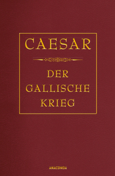 Der gallische Krieg