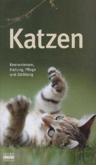 Katzen