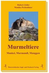 Murmeltiere