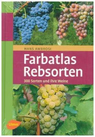 Farbatlas Rebsorten
