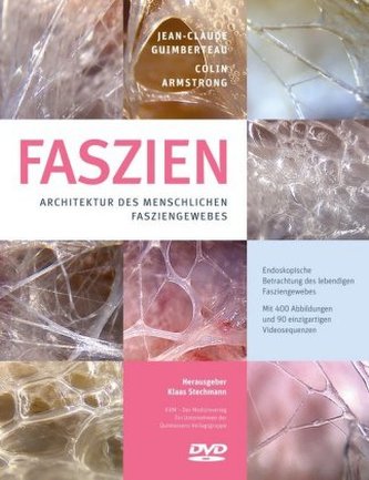 Faszien, m. DVD