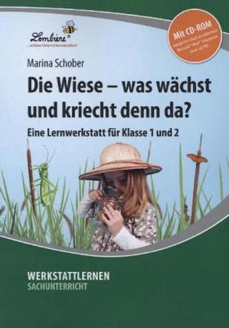 Die Wiese - was wächst und kriecht denn da?, m. CD-ROM