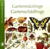Gartennützlinge, Gartenschädlinge