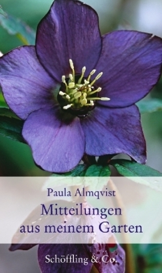 Mitteilungen aus meinem Garten