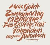 Zweisprachig erzogene Bisexuelle mit Fahrrädern auf dem Autodach, 2 Audio-CDs