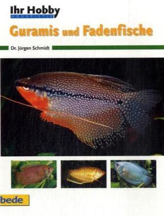 Guramis und Fadenfische