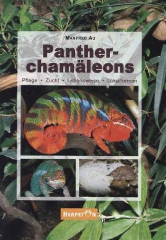 Pantherchamäleons
