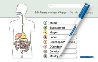 Ich kenne meinen Körper - Der Verdauungsweg