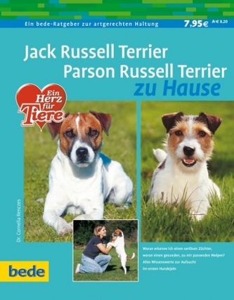 Jack Russell Terrier, Parson Russell Terrier zu Hause