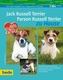 Jack Russell Terrier, Parson Russell Terrier zu Hause