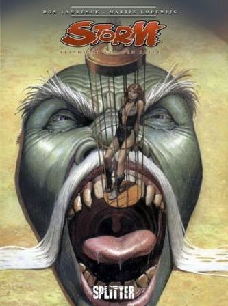 Storm - Der letzte Kämpfer