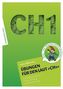 Übungen für den Laut CH1