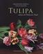 Tulipa