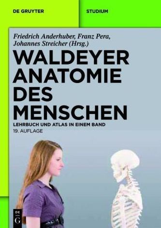 Waldeyer Anatomie des Menschen