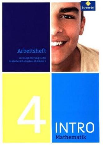 INTRO Mathematik SI - Arbeitsheft 4