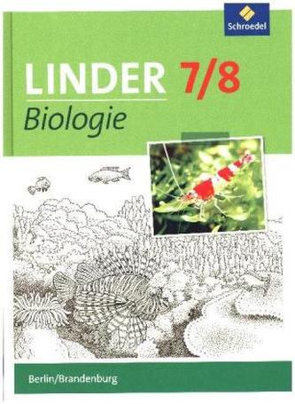 7./8. Schuljahr, Schülerband