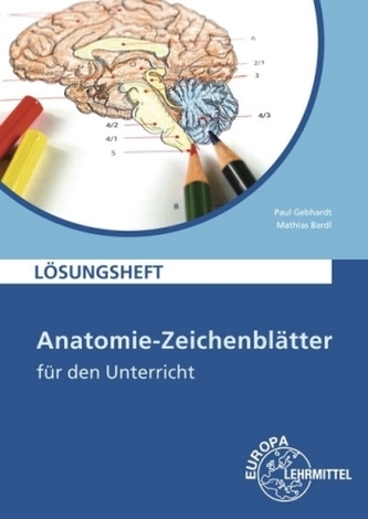 Anatomie-Zeichenblätter für den Unterricht, Lösungsheft