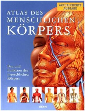 Atlas des menschlichen Körpers