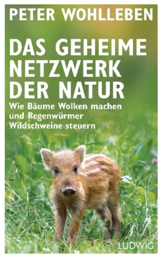 Das geheime Netzwerk der Natur