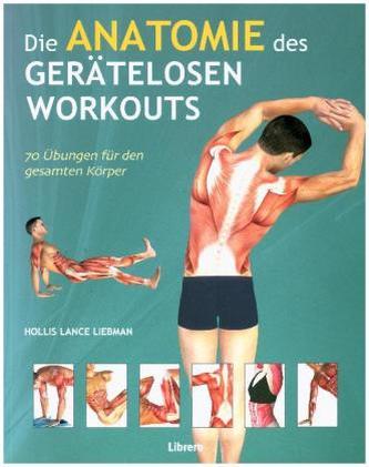 Die Anatomie des gerätelosen Workouts