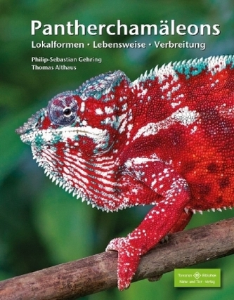 Pantherchamäleons
