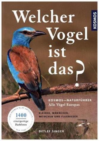 Welcher Vogel ist das?