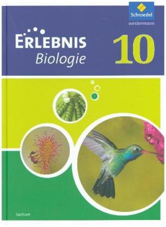 10. Schuljahr, Schülerband