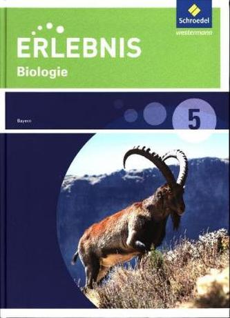 5. Schuljahr, Schülerband