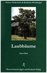 Laubbäume