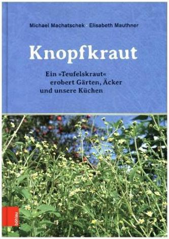 Das Knopfkraut