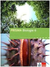 6. Schuljahr, Schülerbuch