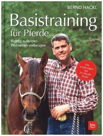 Basistraining für Pferde