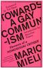 Towards a Gay Communism