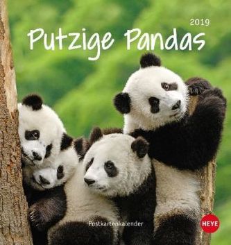 Putzige Pandas 2019