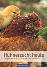 Hühnerzucht heute