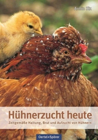 Hühnerzucht heute