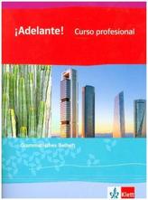 1. Lernjahr, Grammatisches Beiheft